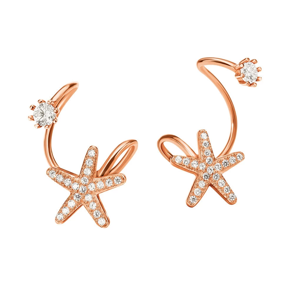 Γυναικεία ασημένια σκουλαρίκια FOLLI FOLLIE Fashionably Silver Stories 3 Γυναικεία ασημένια σκουλαρίκια FOLLI FOLLIE Fashionably Silver Stories