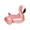 Στρώμα θαλάσσης SUNNYLIFE Ride-On Float RG Flamingo (155*120 εκ.) -Γυναικεία Αξεσουάρ Κατάστημα 1678586.0 00p7 1 sunnylife στρώμα θαλάσσης sunnylife ride on float rg flamingo 155120 εκ. x1000