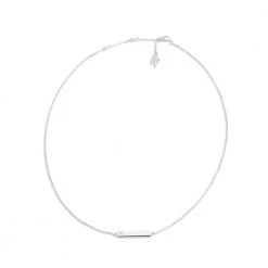 Γυναικείο ασημένιο κολιέ FOLLI FOLLIE PLATE ασημί