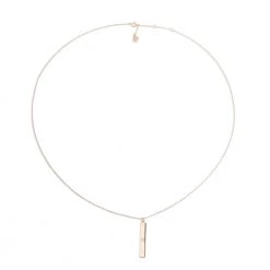 Γυναικείο μακρύ ασημένιο κολιέ FOLLI FOLLIE PLATE ροζ χρυσό