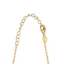 JEWELTUDE 10185 Aσημένιο επίχρυσο κολιέ ’πειρο ΚΟΛΛΙΕ -Γυναικεία Αξεσουάρ Κατάστημα 1856559.0 w100 3 jeweltude 10185 aσημένιο επίχρυσο κολιέ πειρο κολλιε x1000