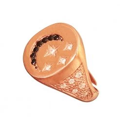 Γυναικείο ασημένιο δαχτυλίδι Chevalier JEWELTUDE 9961 ροζ χρυσό