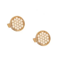 Γυναικεία ασημένια καρφωτά σκουλαρίκια JEWELTUDE 12663 επίχρυσα