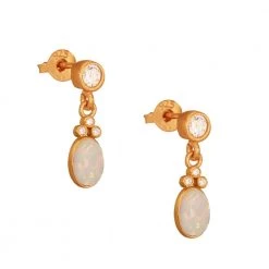 Γυναικεία ασημένια σκουλαρίκια JEWELTUDE 14039 επίχρυσα